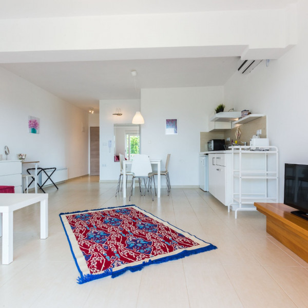 Living room, Villa Ria, Villa Ria Deluxe apartments with pool, Sveti Petar, Dalmatia Sveti Petar na Moru